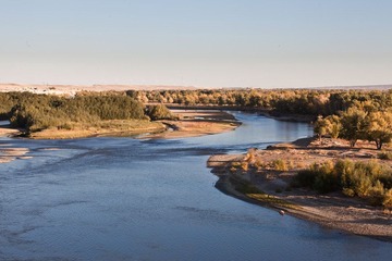 IMG_9389P.jpg