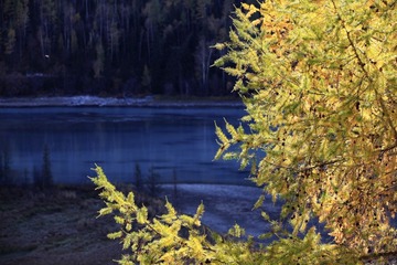 IMG_9130p.jpg
