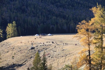 IMG_9142.JPG