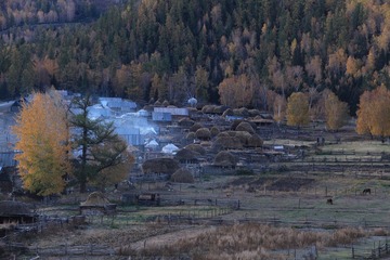 IMG_2635.JPG