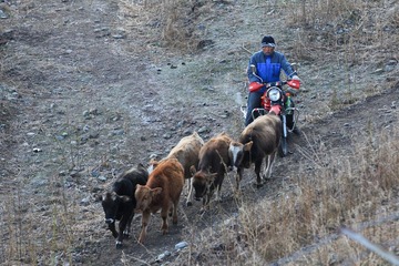 IMG_8956P.jpg