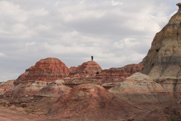IMG_8498.jpg