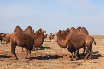 IMG_9917.JPG