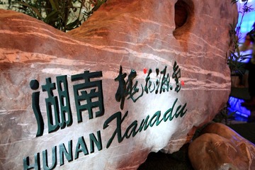 浏览上海世博会4