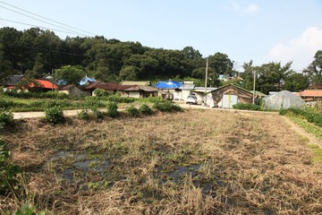 农村1