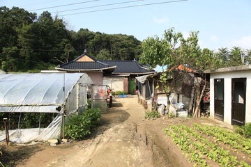 农村2