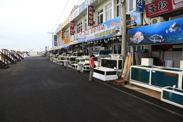 济州岛的海鲜小吃街