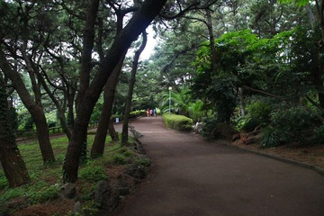 济州风光10