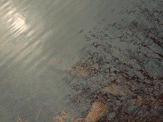1000069803