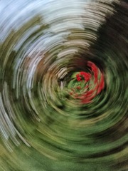 1000068605