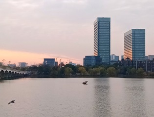 1000068658