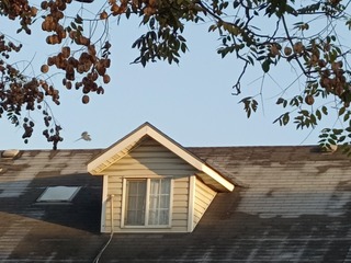 1000069540