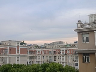 1000083560