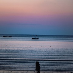 DSC_6895