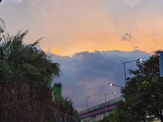 1000010182