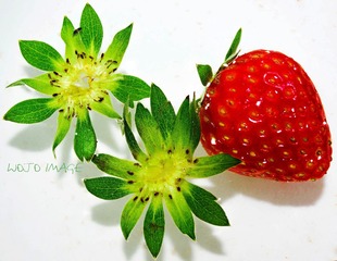 DSC_0021_1_副本.jpg