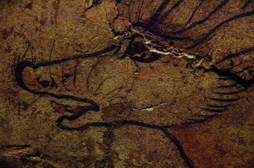 1000051641