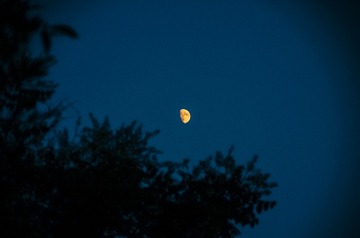 1000051415