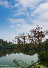 未命名 (1 - 1)-17.jpg