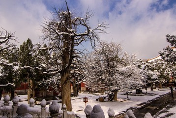 Wds_l (15 - 41).jpg