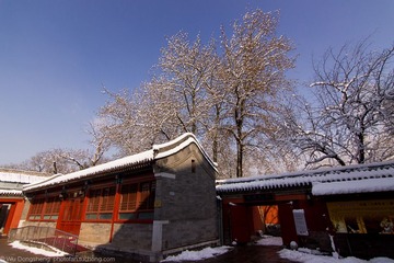Wds_l (21 - 41).jpg