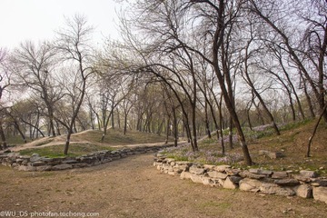 IMG_2832.jpg
