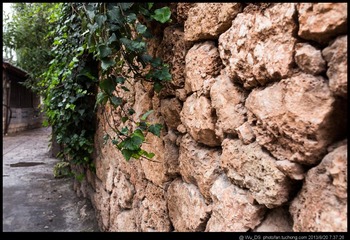 Wds_l (1 - 1)-3.jpg