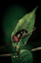 20130220-IMGP7364.jpg