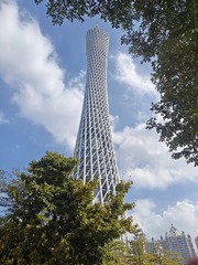 1000009152