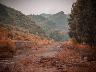 1000085422