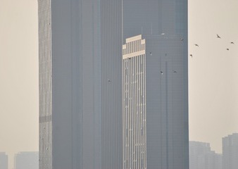 1000009952