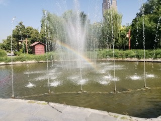 636