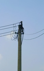 68161