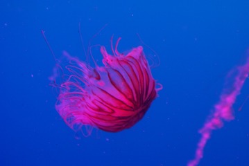 753037