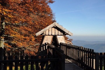 DSC_0466_调整大小.JPG