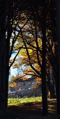 DSC_0427_调整大小.JPG