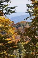 DSC_0313_调整大小.JPG