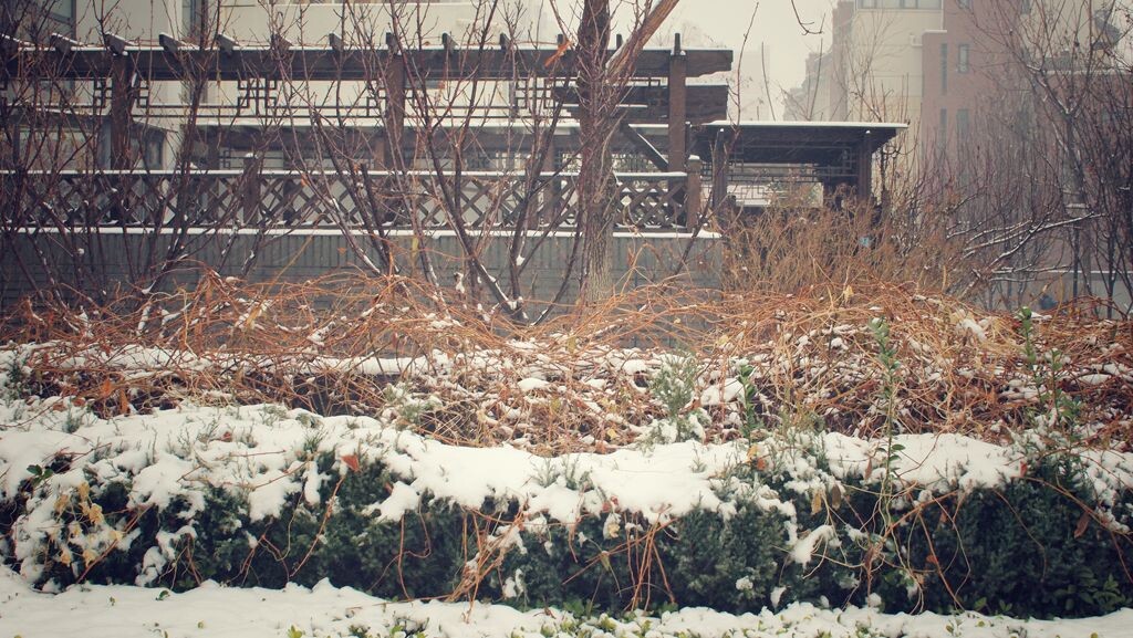 雪中的颜色<br />
