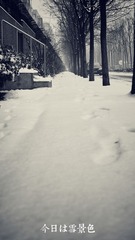 PC140741_2.jpg