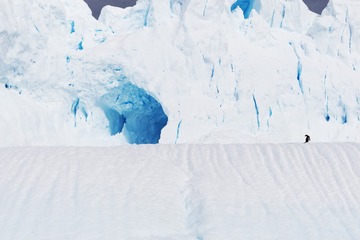 20170122_363652