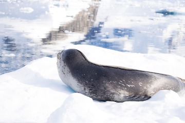 20170123_363715