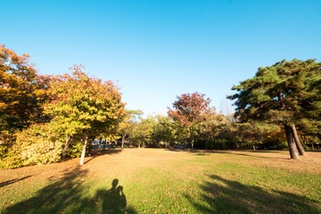 20161024_301150