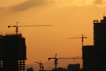 zIMG_7339
