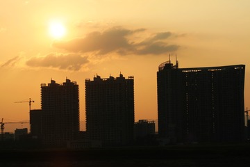 zIMG_7337