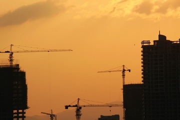 zIMG_7338