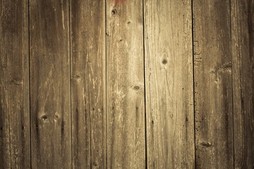 20100103_4246
