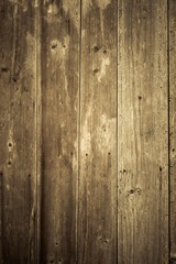 20100103_4248