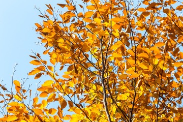 20131105-211817