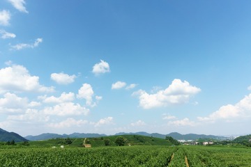 20150727_787