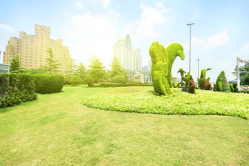 20150802_24-6